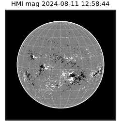 shmi - 2024-08-11T12:58:44.700000