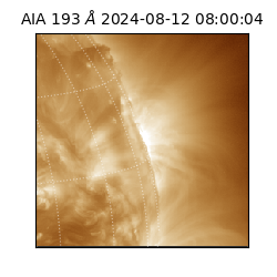 saia - 2024-08-12T08:00:04.843000