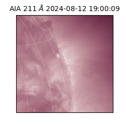 saia - 2024-08-12T19:00:09.630000