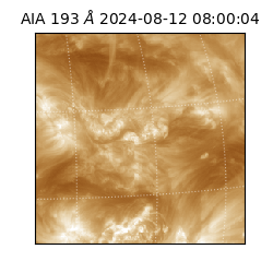 saia - 2024-08-12T08:00:04.843000