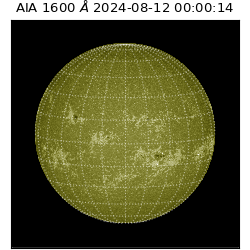 saia - 2024-08-12T00:00:14.126000