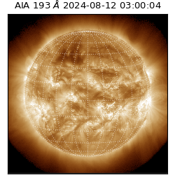 saia - 2024-08-12T03:00:04.843000