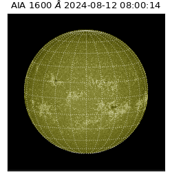 saia - 2024-08-12T08:00:14.131000