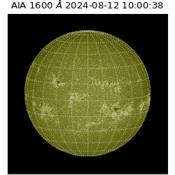 saia - 2024-08-12T10:00:38.133000