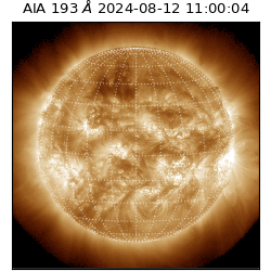 saia - 2024-08-12T11:00:04.846000