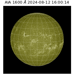 saia - 2024-08-12T16:00:14.125000