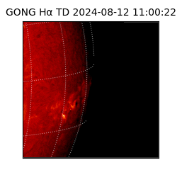 gong - 2024-08-12T11:00:22