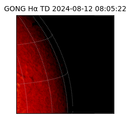 gong - 2024-08-12T08:05:22