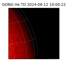 gong - 2024-08-12T10:00:22