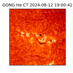 gong - 2024-08-12T19:00:42