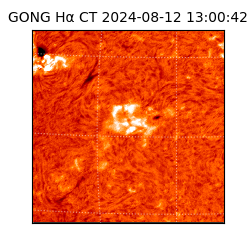 gong - 2024-08-12T13:00:42