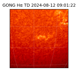 gong - 2024-08-12T09:01:22