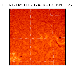 gong - 2024-08-12T09:01:22