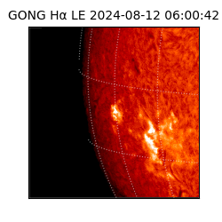 gong - 2024-08-12T06:00:42