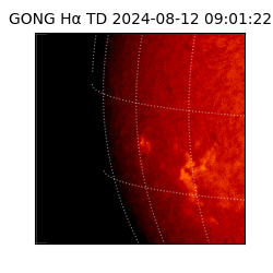 gong - 2024-08-12T09:01:22