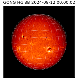 gong - 2024-08-12T00:00:02