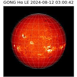 gong - 2024-08-12T03:00:42