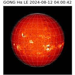 gong - 2024-08-12T04:00:42