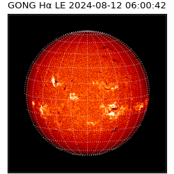 gong - 2024-08-12T06:00:42
