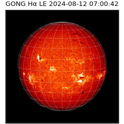 gong - 2024-08-12T07:00:42