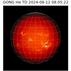 gong - 2024-08-12T08:05:22