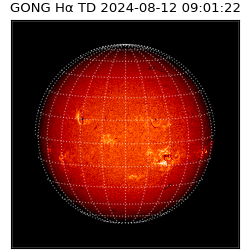 gong - 2024-08-12T09:01:22