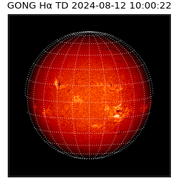 gong - 2024-08-12T10:00:22