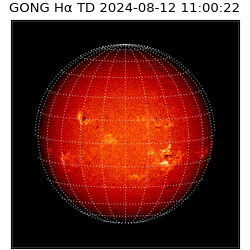 gong - 2024-08-12T11:00:22