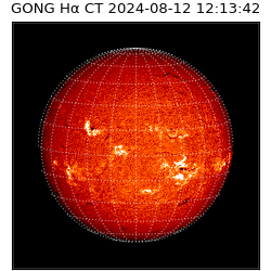 gong - 2024-08-12T12:13:42