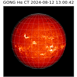 gong - 2024-08-12T13:00:42