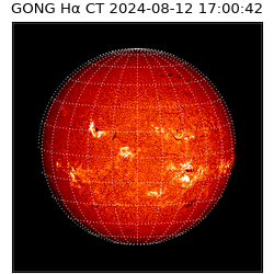 gong - 2024-08-12T17:00:42