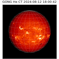 gong - 2024-08-12T18:00:42
