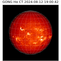 gong - 2024-08-12T19:00:42