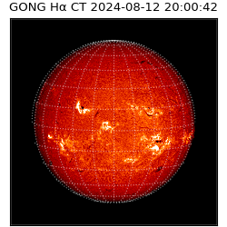 gong - 2024-08-12T20:00:42