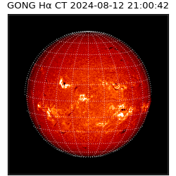 gong - 2024-08-12T21:00:42