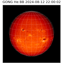 gong - 2024-08-12T22:00:02