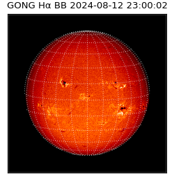 gong - 2024-08-12T23:00:02