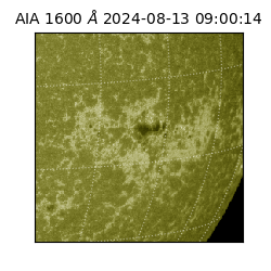 saia - 2024-08-13T09:00:14.129000