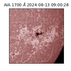 saia - 2024-08-13T09:00:28.717000