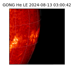 gong - 2024-08-13T03:00:42