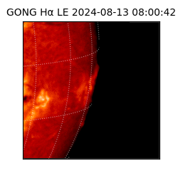 gong - 2024-08-13T08:00:42