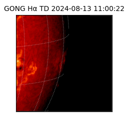 gong - 2024-08-13T11:00:22
