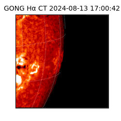 gong - 2024-08-13T17:00:42