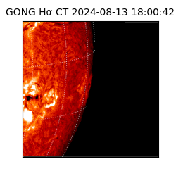gong - 2024-08-13T18:00:42