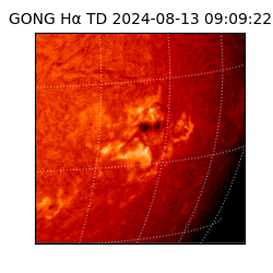 gong - 2024-08-13T09:09:22