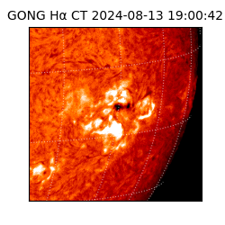 gong - 2024-08-13T19:00:42