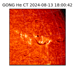 gong - 2024-08-13T18:00:42