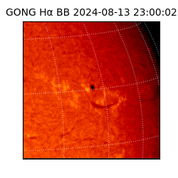 gong - 2024-08-13T23:00:02