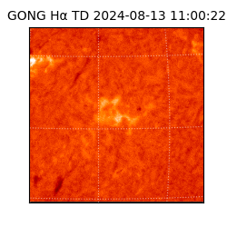 gong - 2024-08-13T11:00:22