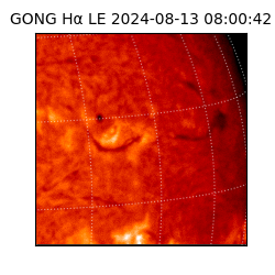 gong - 2024-08-13T08:00:42